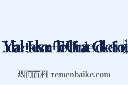 Michael+Jackson:+The+Ultimate+Collection造句是什么意思的图片